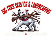 Big Tree Services